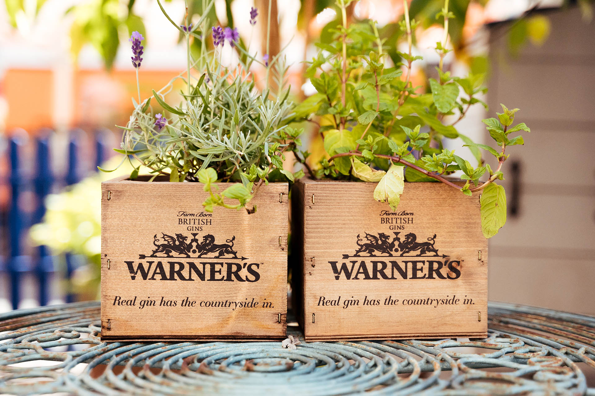 Warner's Gin Barn - Electric Sunshine events & experiential