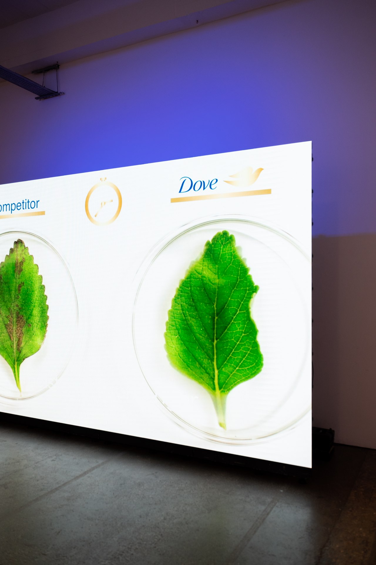 Dove Advanced Care Launch – Electric Sunshine events & experiential