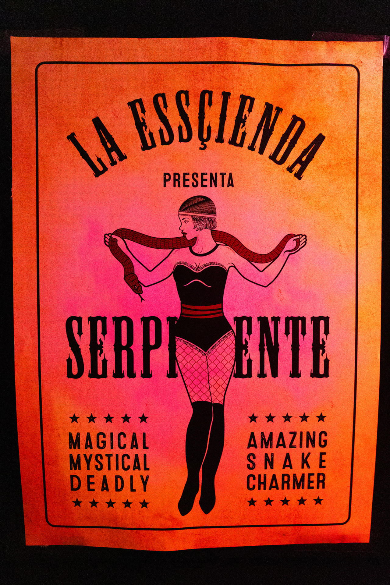 Navidad De Los Muertos – Electric Sunshine events & experiential