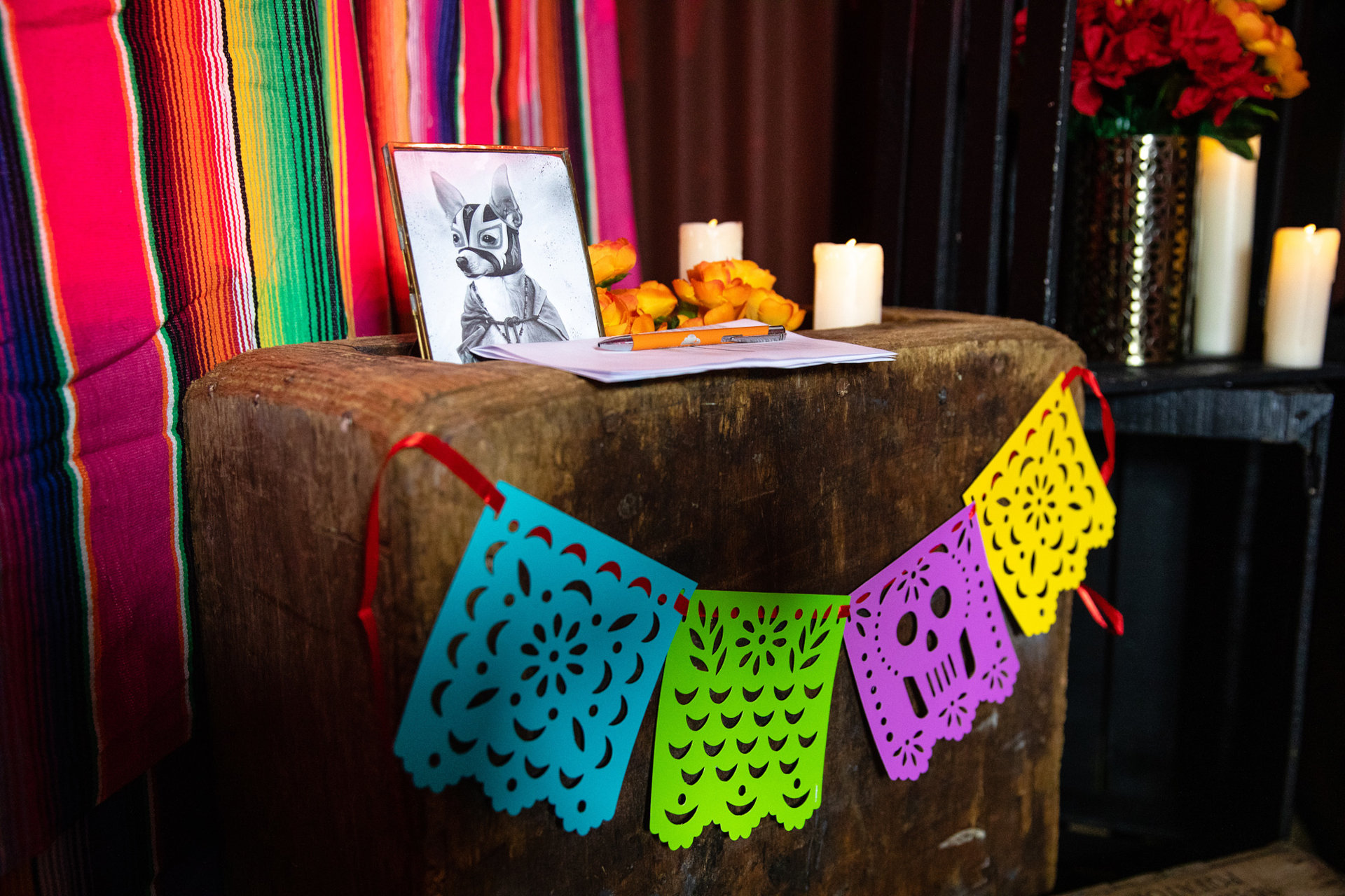 Navidad De Los Muertos – Electric Sunshine events & experiential