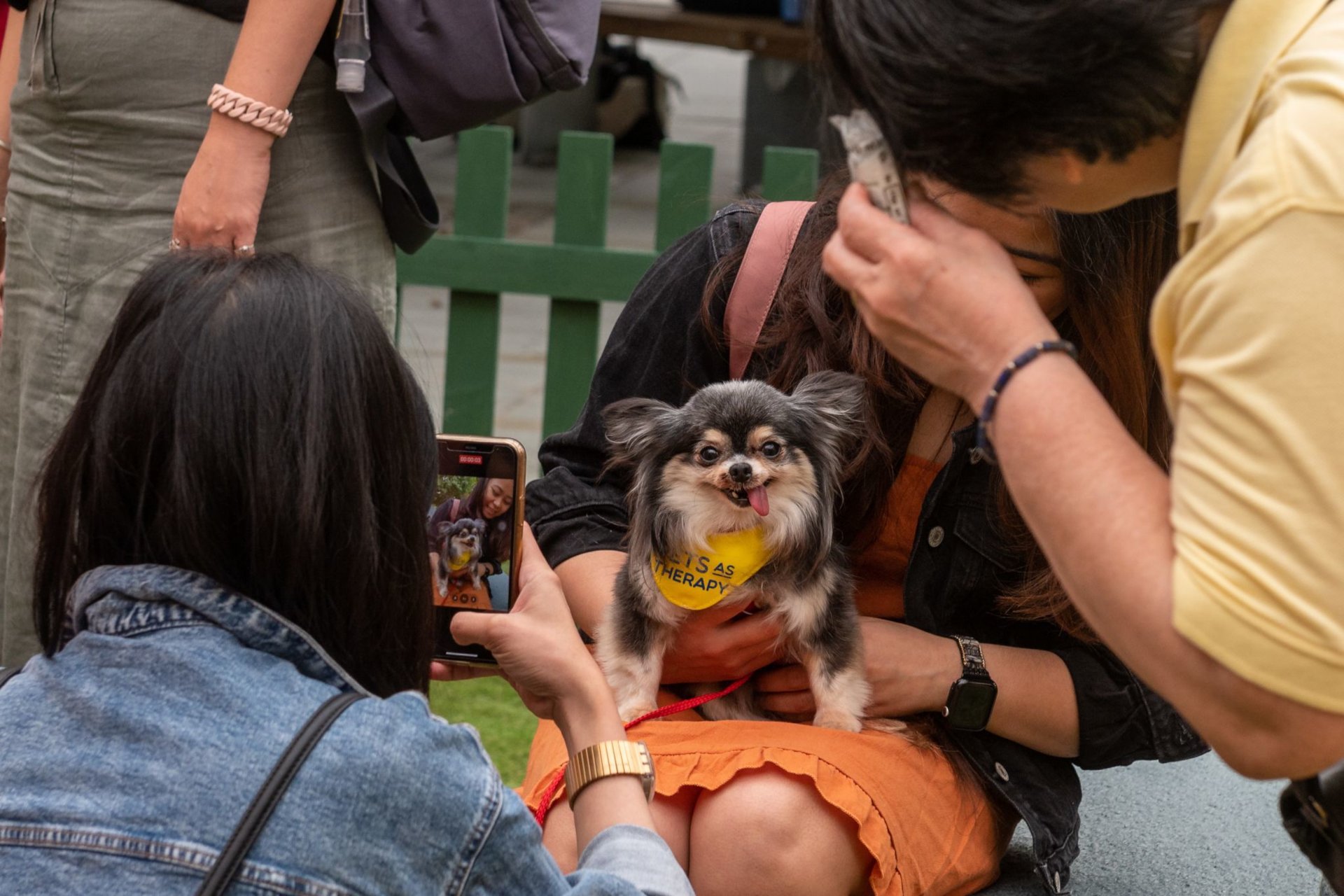 ManyPets Petting Booth – Electric Sunshine events & experiential